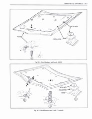 Body, Frame & Bumpers 021.jpg